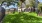 Dog Park